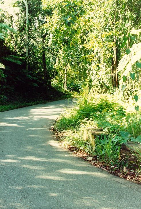 Another key undertaking: a twisting, narrow, but well-built mountain road, still typical of the roads in the island's interior.