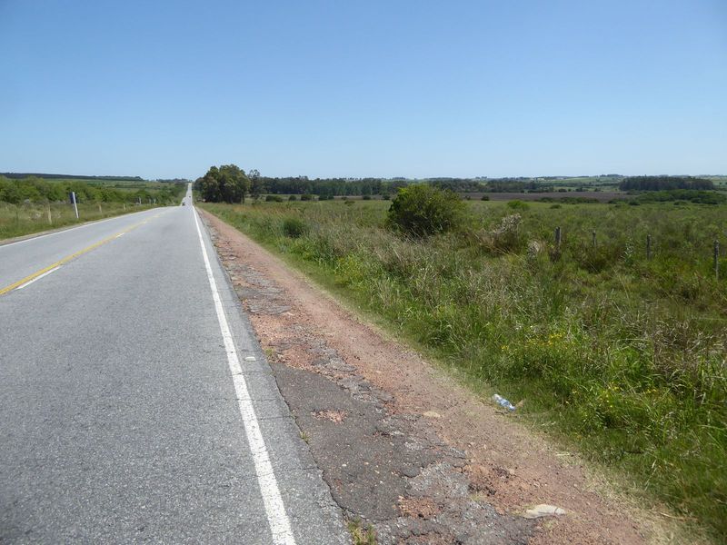 The town is about three hours north of Colonia. It's still on the same river system as Colonia, though here it's the Río Uruguay, not the Rí