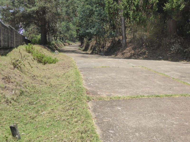 Driveway.