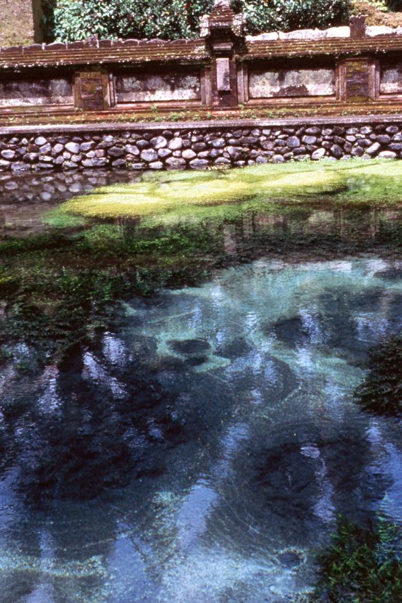 Irrigation water is essential to the development of the island's rice crop. Not surprisingly, water is sometimes treated with veneration, as