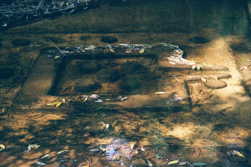 There's not just one or two such carvings: there are dozens. In this case, five linga are arranged in a quincunx within a yoni.