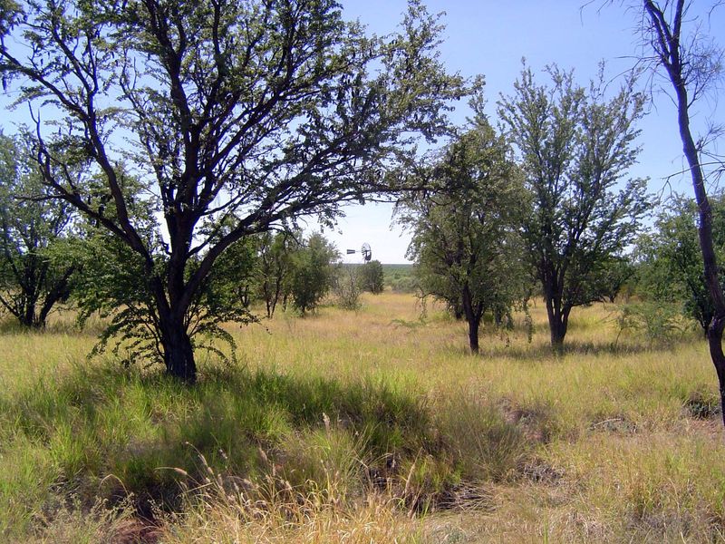 Water in the distance.