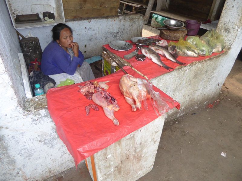 Fish and poultry.