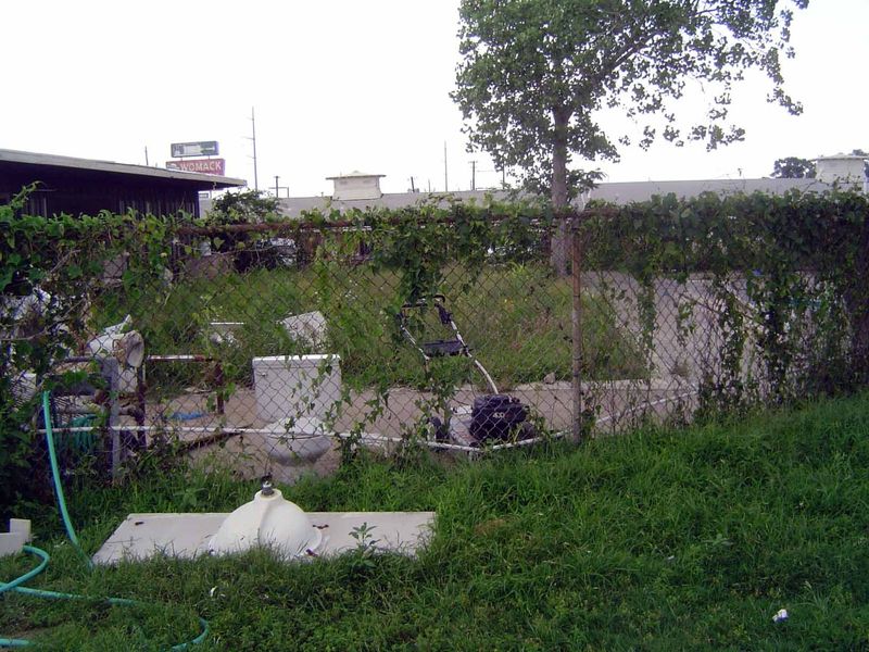 The swimming pool has been filled in and is now overgrown.