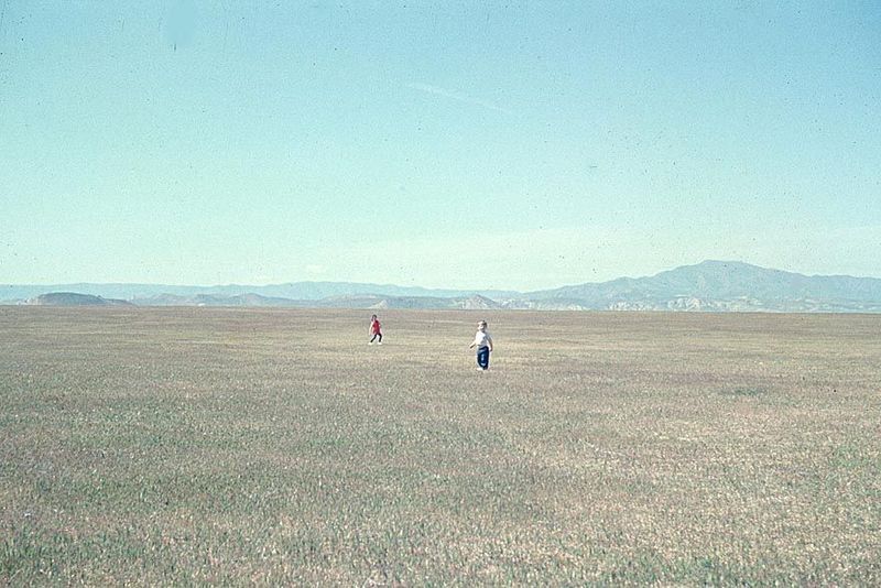 Down on the floor of the San Joaquin Valley's dry West Side, with the Pyramid Hills in the background. Photo from 1967.