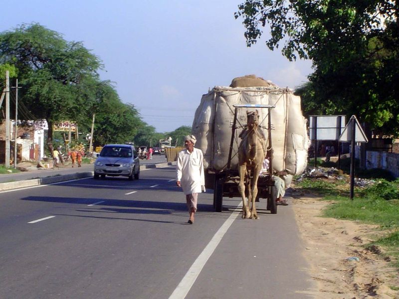 There's no minimum speed limit on the road. At least the camel is on the right side of the road; that isn't always the case.