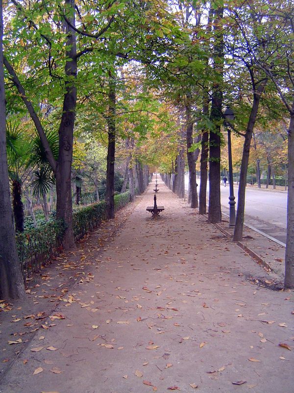 The Paseo Republica de Cuba. Ford writes, "It is a place to study costume and manners, and to see those antediluvian carriages and ridiculou