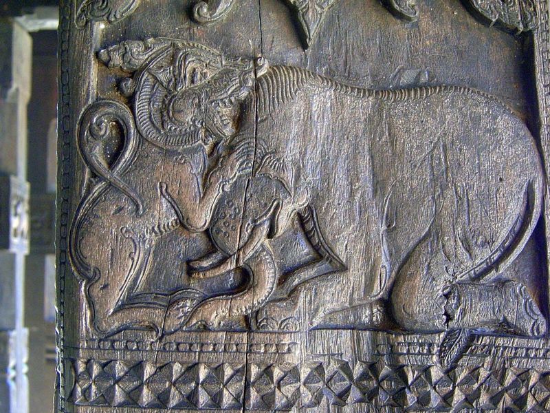 Animals fighting.