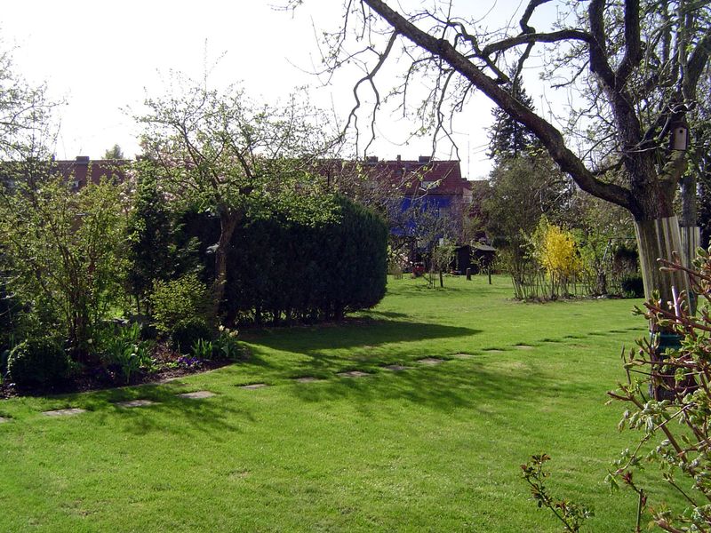 Another bit of park.