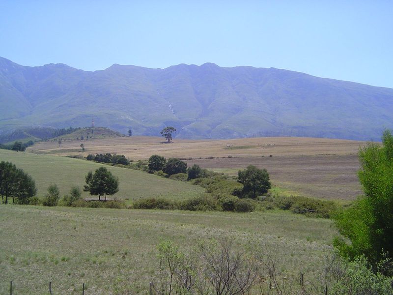 Eventually we bump into another mountain, the Langeberg, or Long Mountain, an anticlinal ridge of Table Mountain Sandstone. The Dutch East I