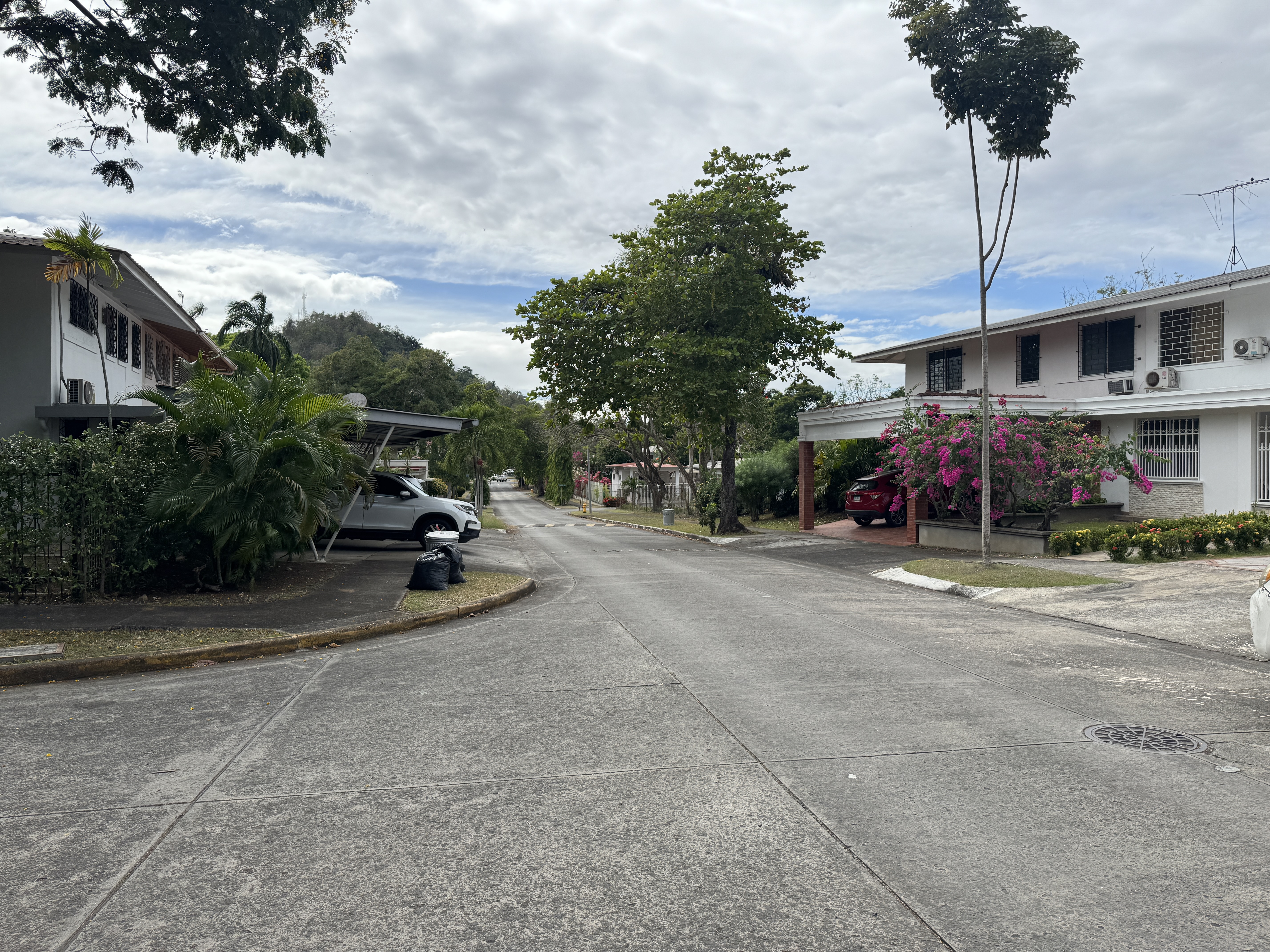 White or Black, residential neighborhoods were green and spacious.  They still are.  It's pretty nice, but balance it against the harsh judg
