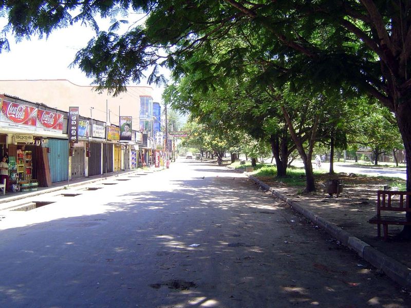 Arterial traffic runs down the center of the street, on the right here, while local traffic takes one of the two shop-lined side roads. Tree