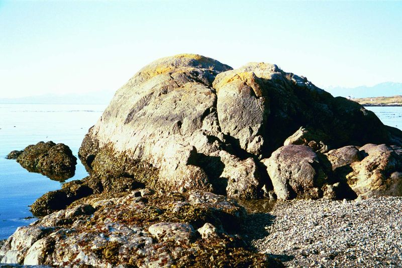 A whale-backed rock, shaped by the ice sheets.