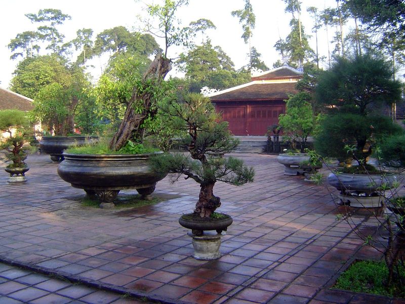 Miniature trees in bronze urns.