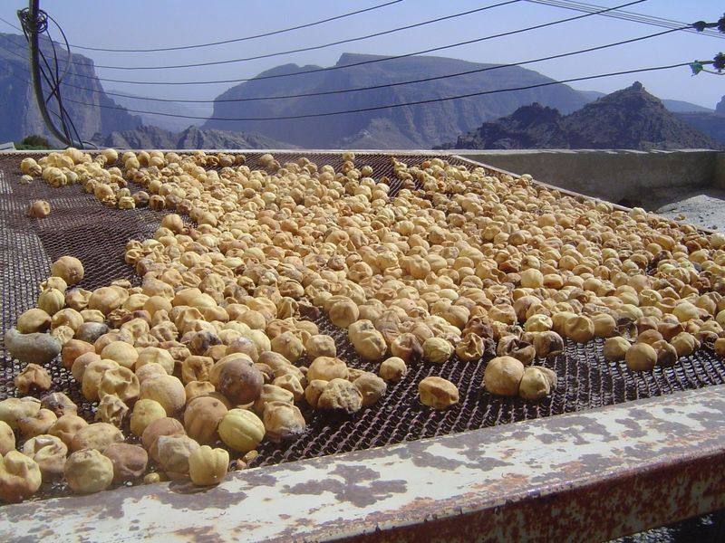 Desiccated lemon?