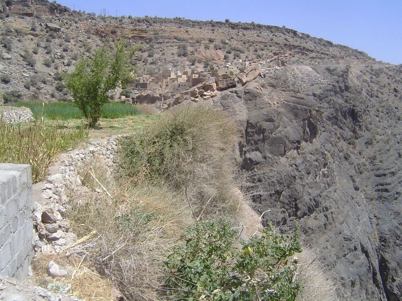 The edge of the irrigated bench.