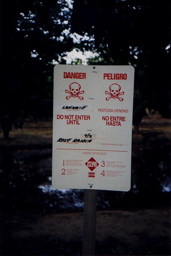 East of Fresno. The air reeked, and the soil burned the bare feet of anyone stupid enough to walk around in sandals.