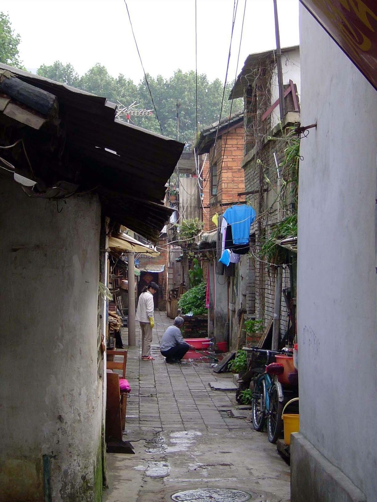 The building on the left is part of the famous bird market.