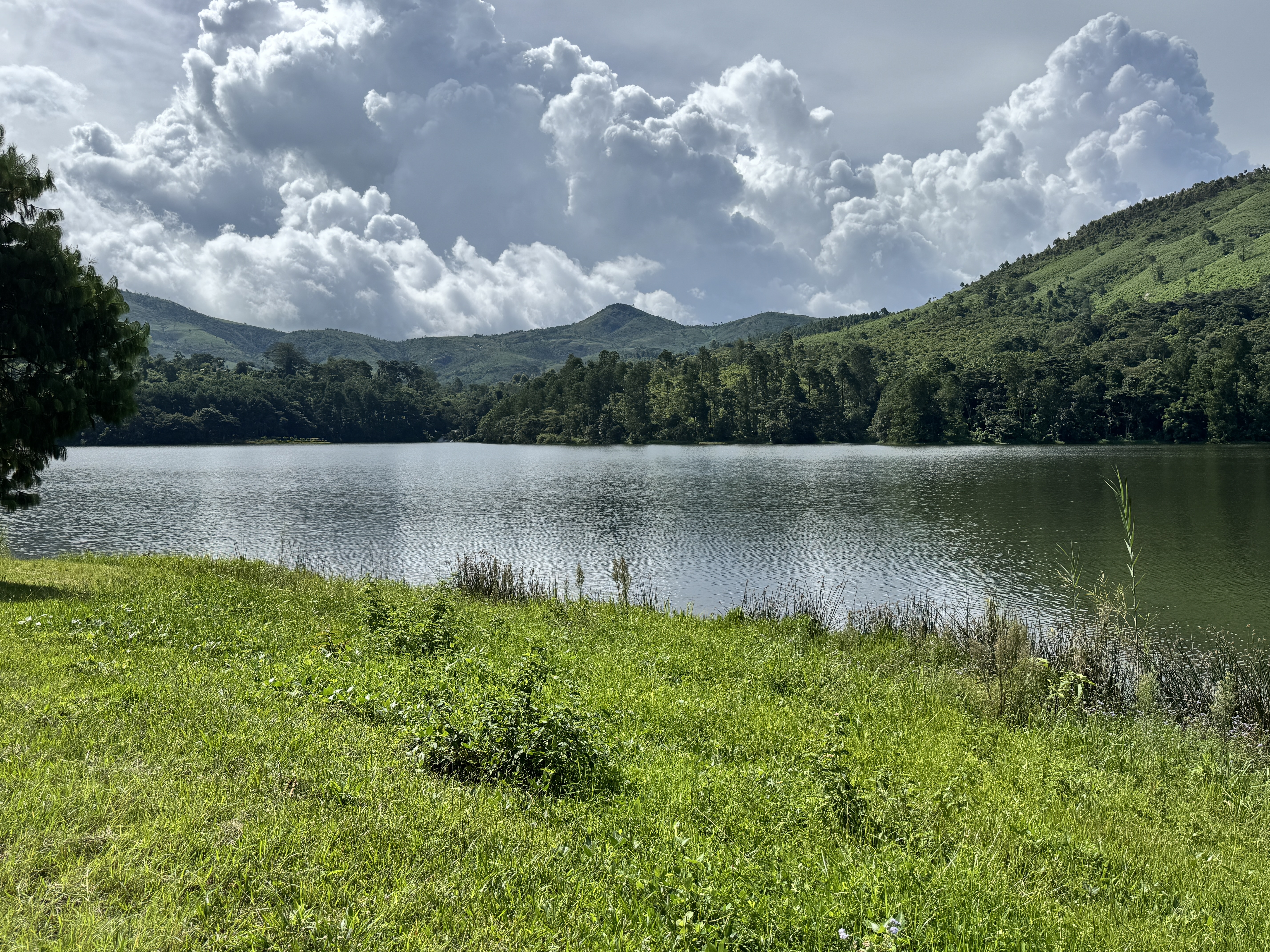 A bit higher, and we pass the lake formed by Mulunguzi Dam to supply domestic water to Zomba.