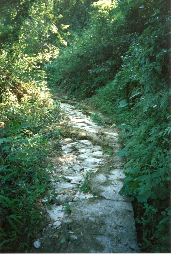 At the far end of the village, a rough path climbs through the forest covering that hill.
