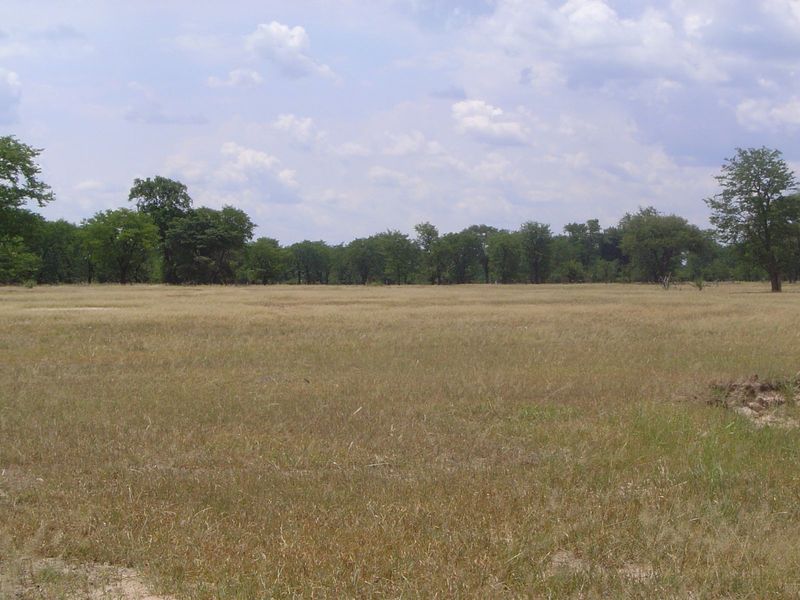 Open ground a few miles west of town.