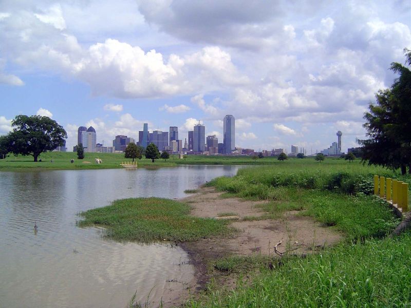 The downtown skyline from a pond in the floodplain of the Trinity. One of two confining dikes can be seen stretching behind the tree at the 