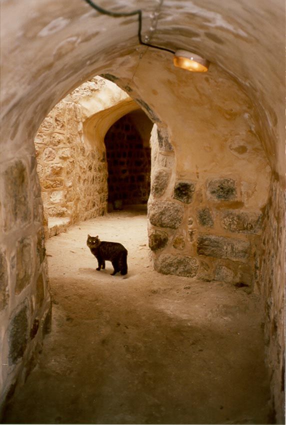 This is one of the many alleys off the qusseba that were remortared, plastered, painted, and fitted with electric lighting.