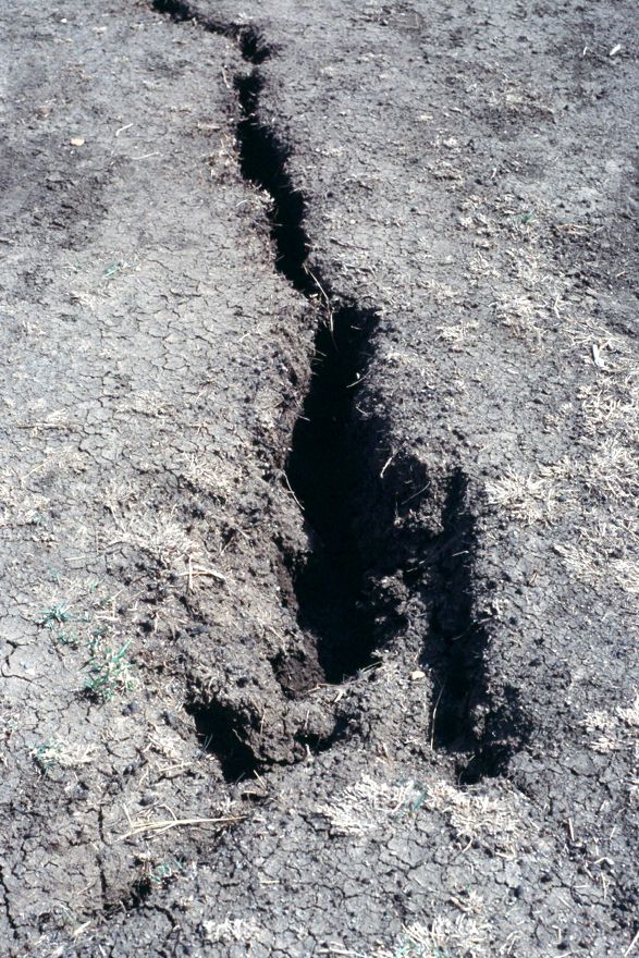 One such natural fissure, opening as the soil dries.