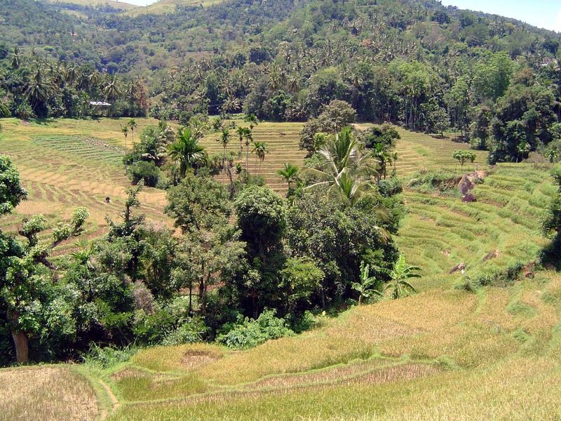 The limits of cultivable land are determined by the elevation of the irrigation canals running on both sides of the valley.