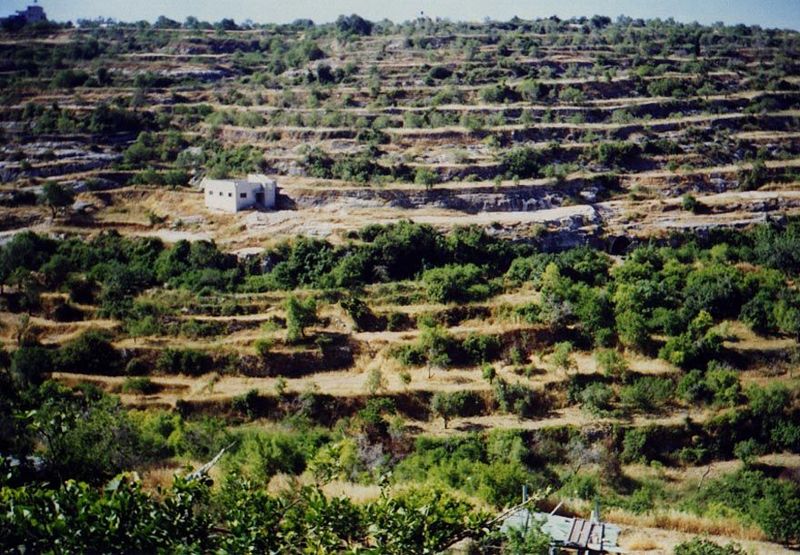 Looking from Salfit southward over the garden. The spring emantes from the block of stone this side of the house and corresponds to the high