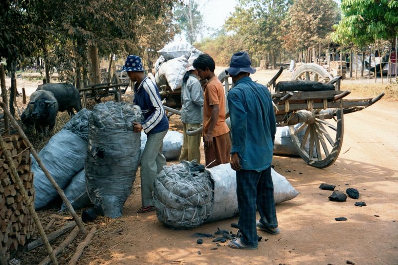 Premium fuel: a sack of charcoal sells for about four dollars.