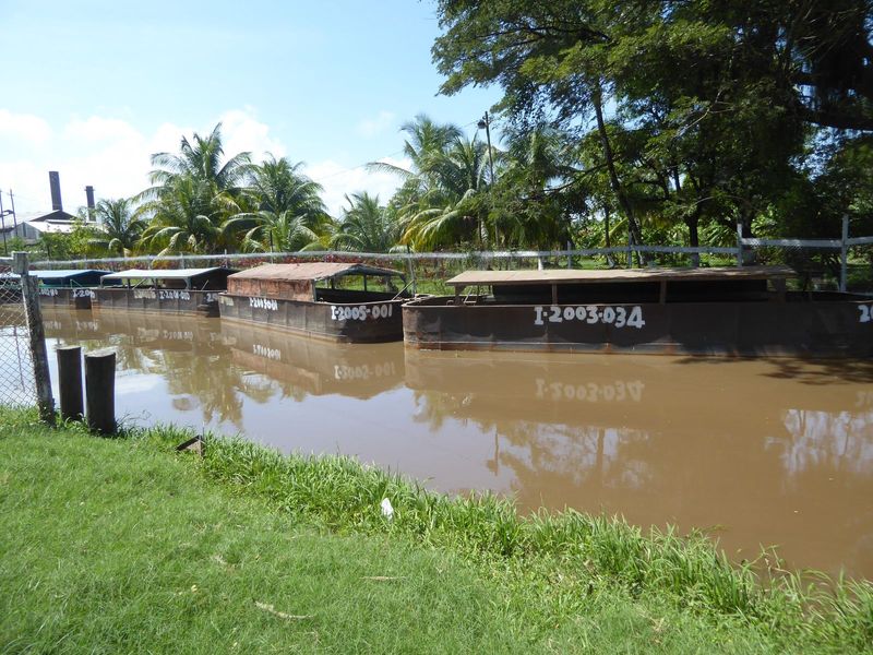 The plantations depended on African slaves, then emancipated slaves, then indentured workers imported from India. Small barges pulled by don