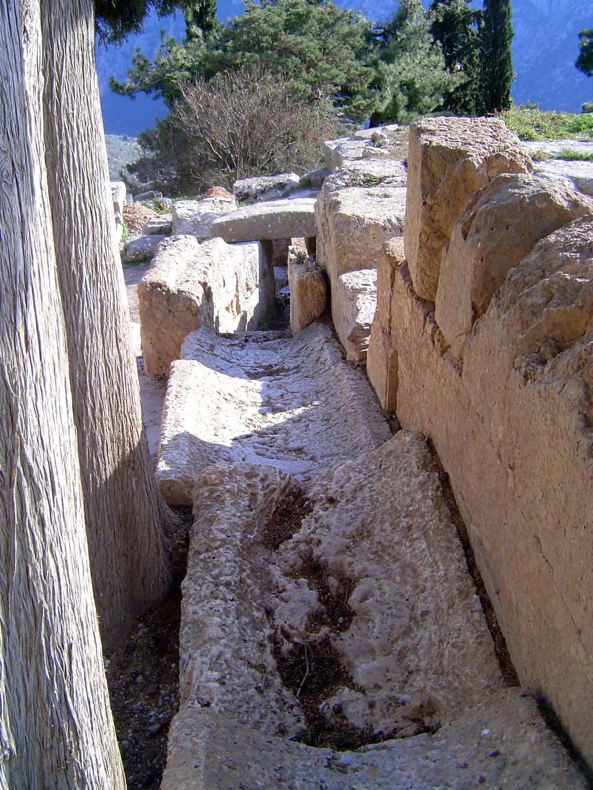 Drains to reduce gullying on the steep site.