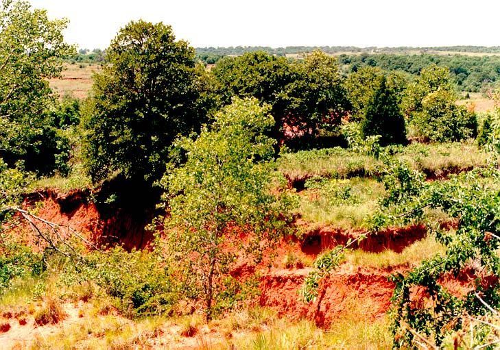 You thought those captions a few pictures ago were exaggerated—the ones about soil going away? Well, take a gander at these gullies. There's