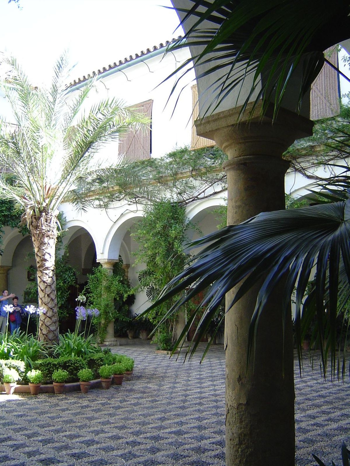 Courtyards are an archetypal element of Andalusia's homes, traceable to Roman villas. This is the reception courtyard in the Palacio de Vian
