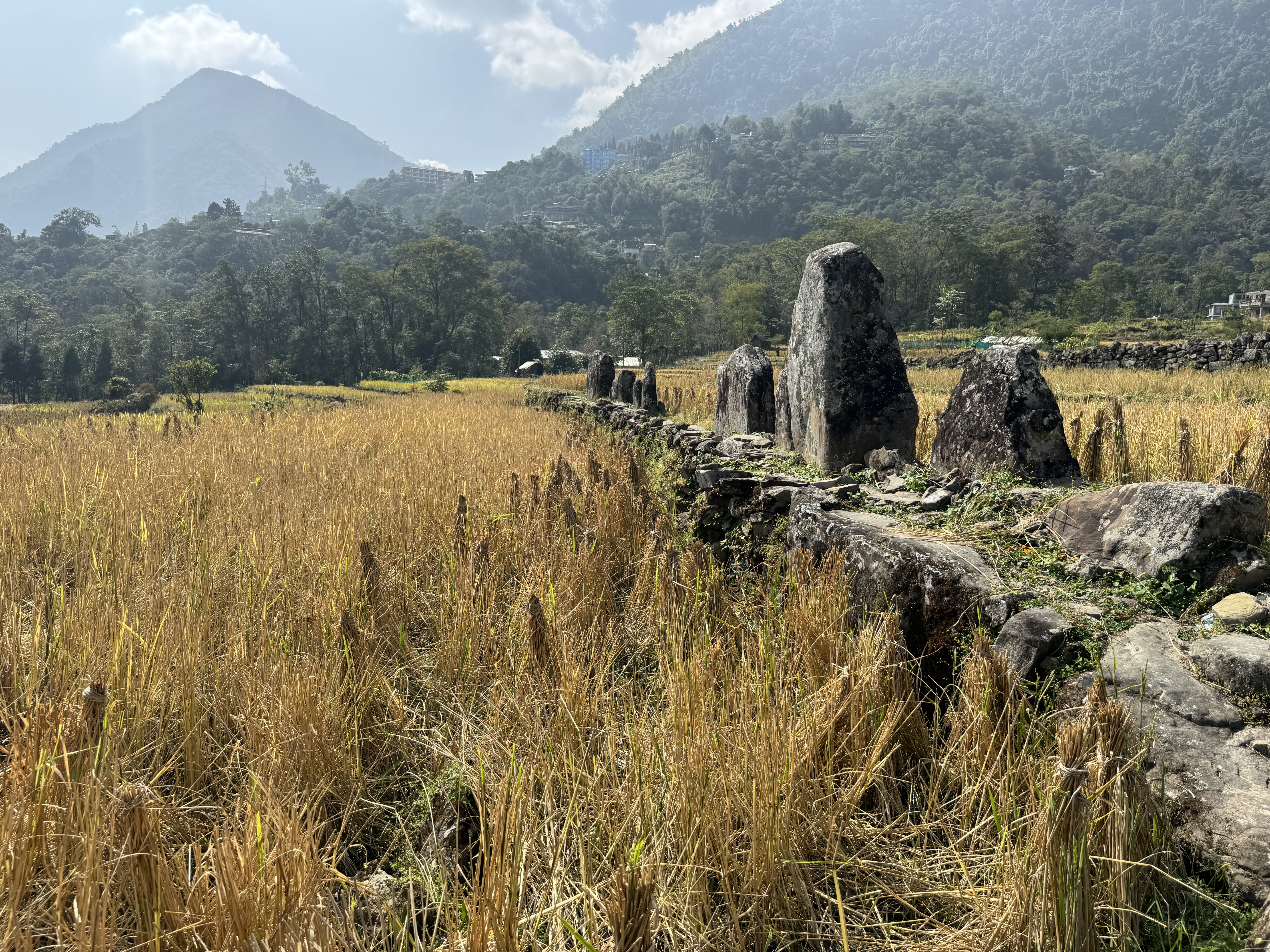 Monoliths galore.  Henry Godwen-Austen wrote in the 1870s that the best monoliths he saw in the Naga Hills were around here: "they are set u