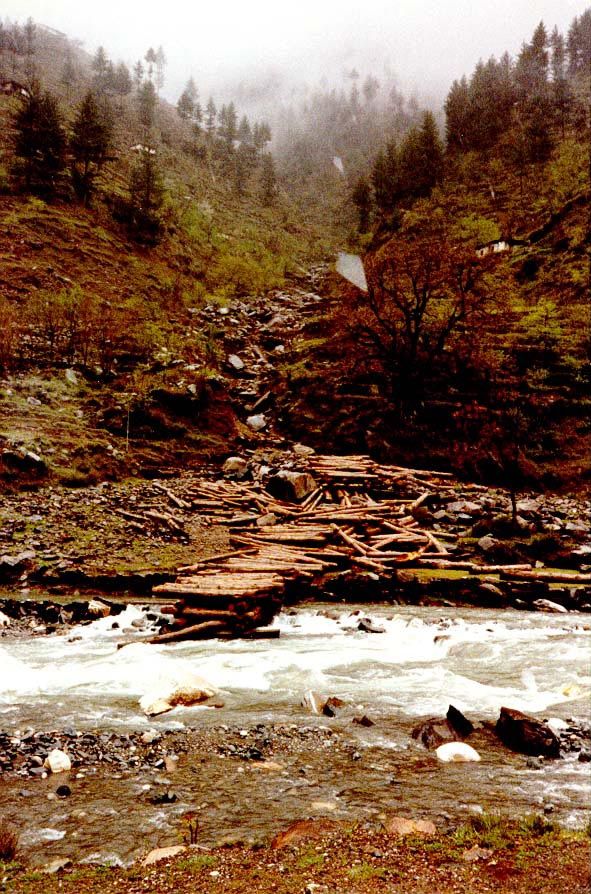 Part of the barrenness is the result of logging, with crudely squared timbers torrented down to a point where they can be hoisted to trucks 