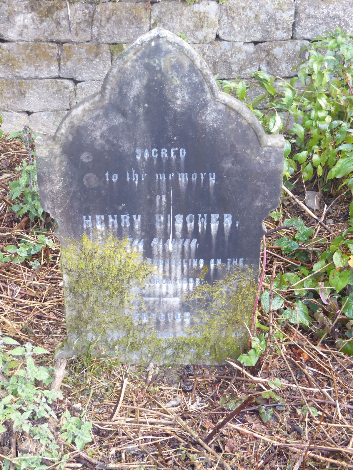 Another tea planter: dead in 1905.