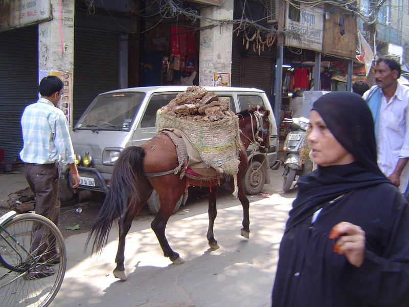 For removing building rubble from this neighborhood, trucks don't cut it. Better: burlap panniers on horseback.