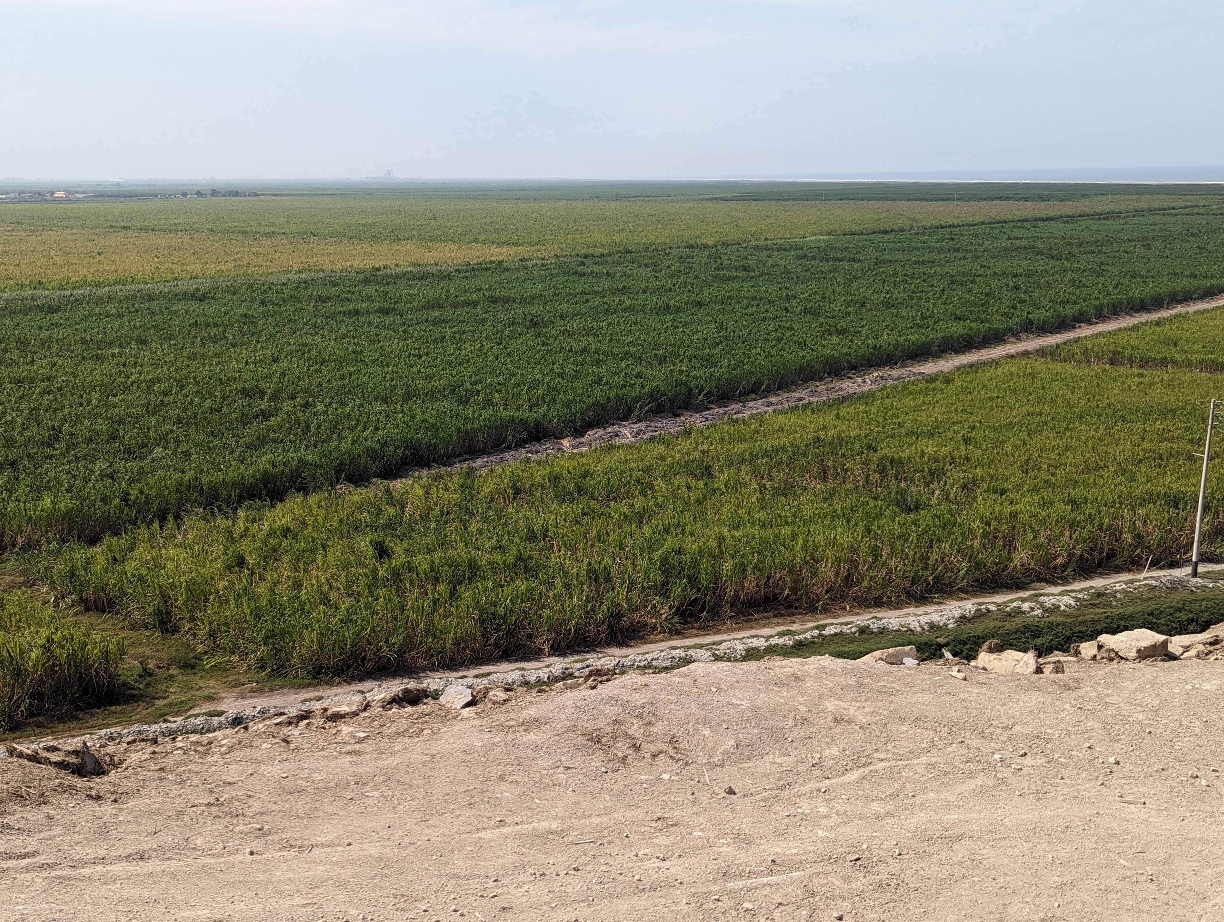 The view from the summit: sugarcane is the specialty of the Chicama Delta.