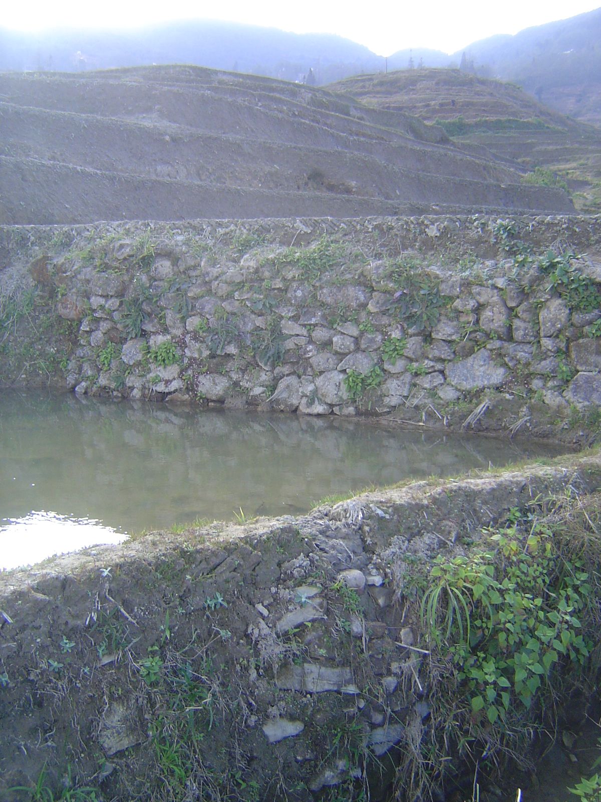The dikes are themselves structural, of mud bricks that eventually fuse.