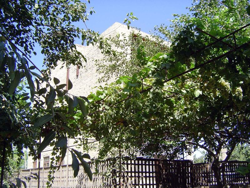 The building is almost screened by grapes on arbors.