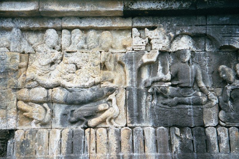 The gods descend to congratulate the prince but most importantly to ask him when he will begin to seek enlightenment.