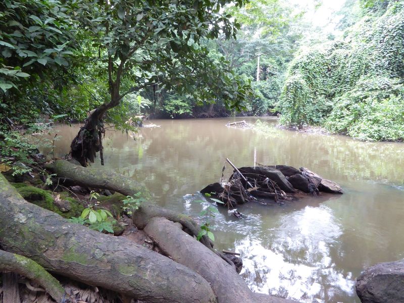 The grove was sacred because it sheaths the Osun River, which was sacred because the river is understood to symbolize Osun, one of the most 
