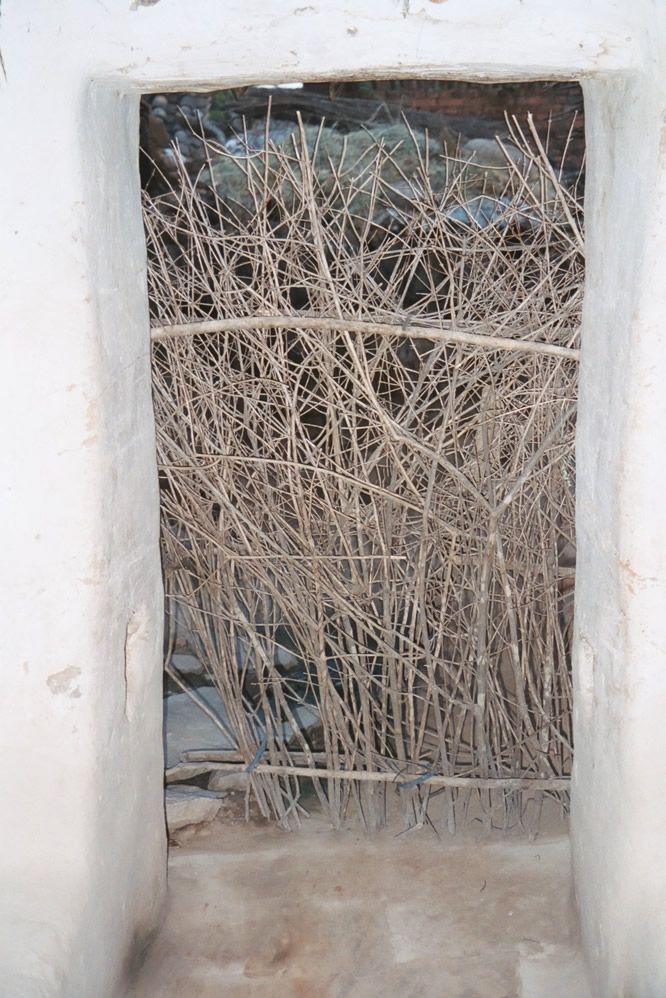 A gate to a compound, screened so the animals don't walk away.