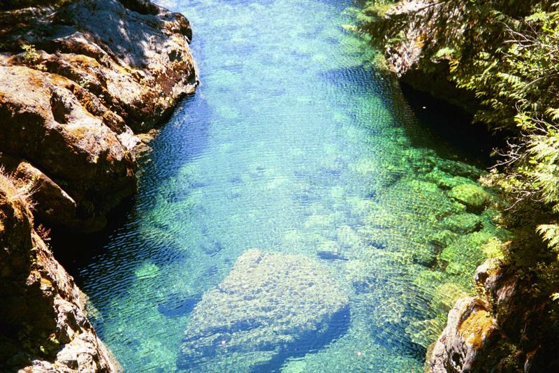 The water is intensely cold, deep, and amazingly clear, considering how much logging has taken place upstream. Wouldn't you expect a river c