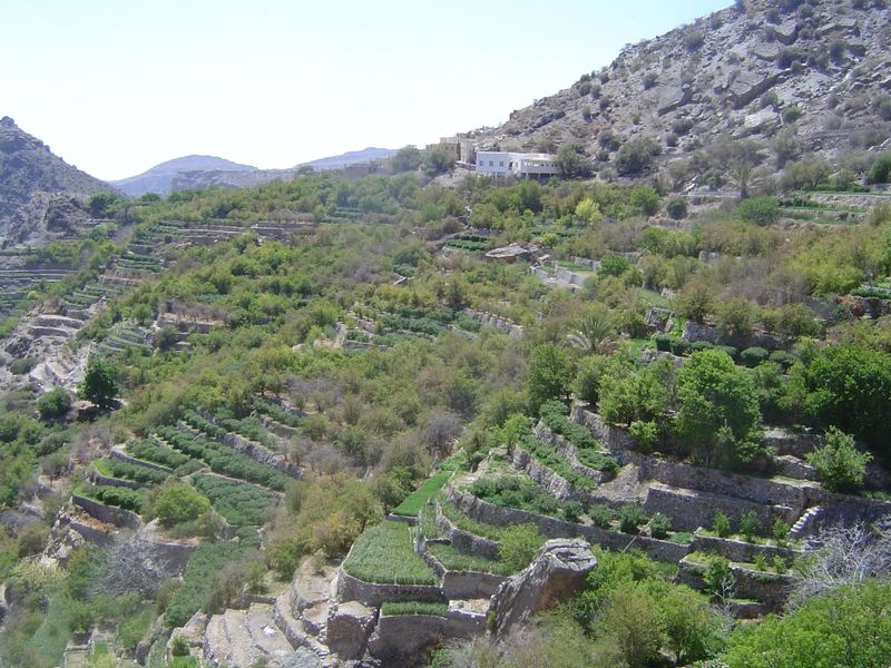 Sharayjeh in the distance, with its terraces below.