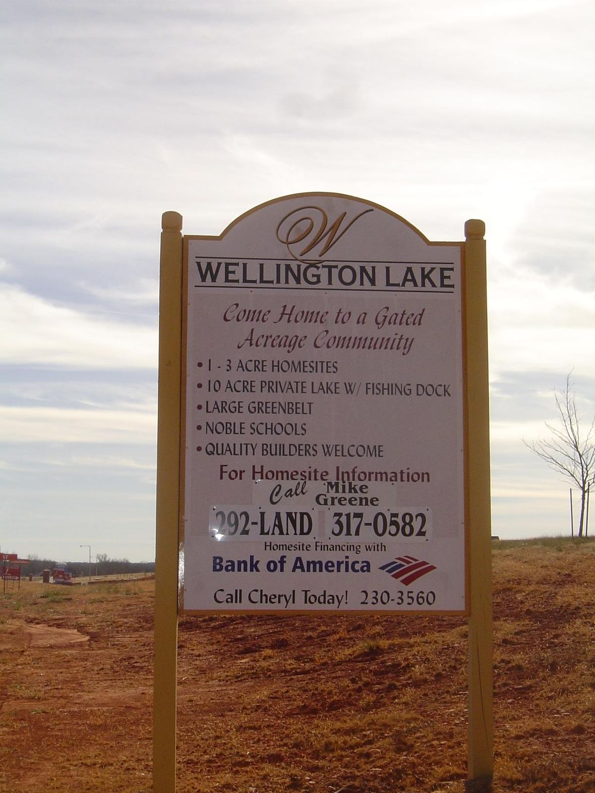 Here's a new subdivision, just a few miles east of town. Funny, how the done-fence-me-in hostility to rules and regulations can co-exist wit