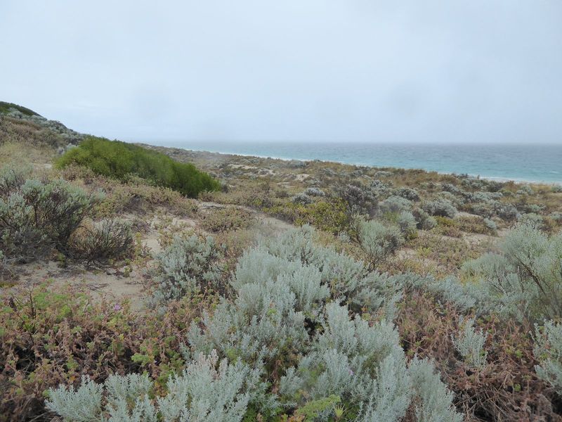 The raw coast. It's picturesque so long as you're not marooned.