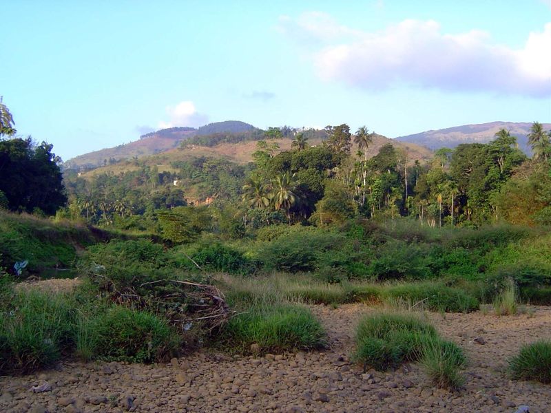 Seasonally flooded land along the river